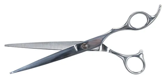 Trygg betalning Professionell Trimsax