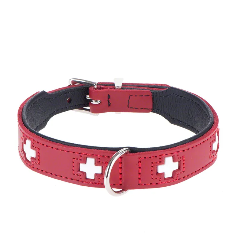 HUNTER Swiss halsband - Storlek 60 47 - 54 cm halsomfång Begränsat erbjudande