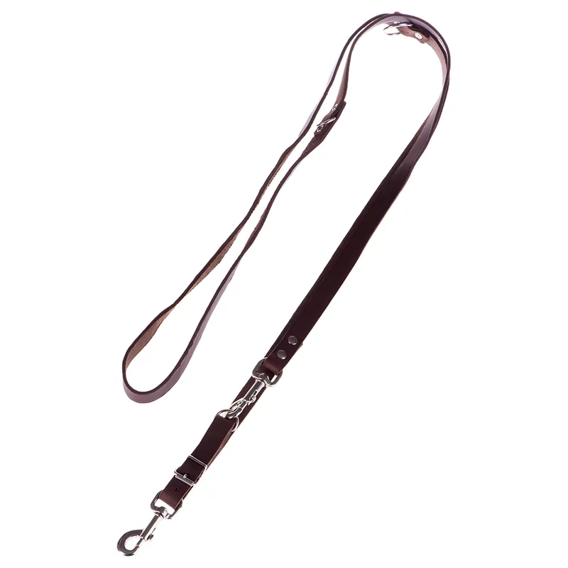 Snabb frakt Heim koppel med nitar, justerbart brunt - Längd 240 cm, bredd 2 cm