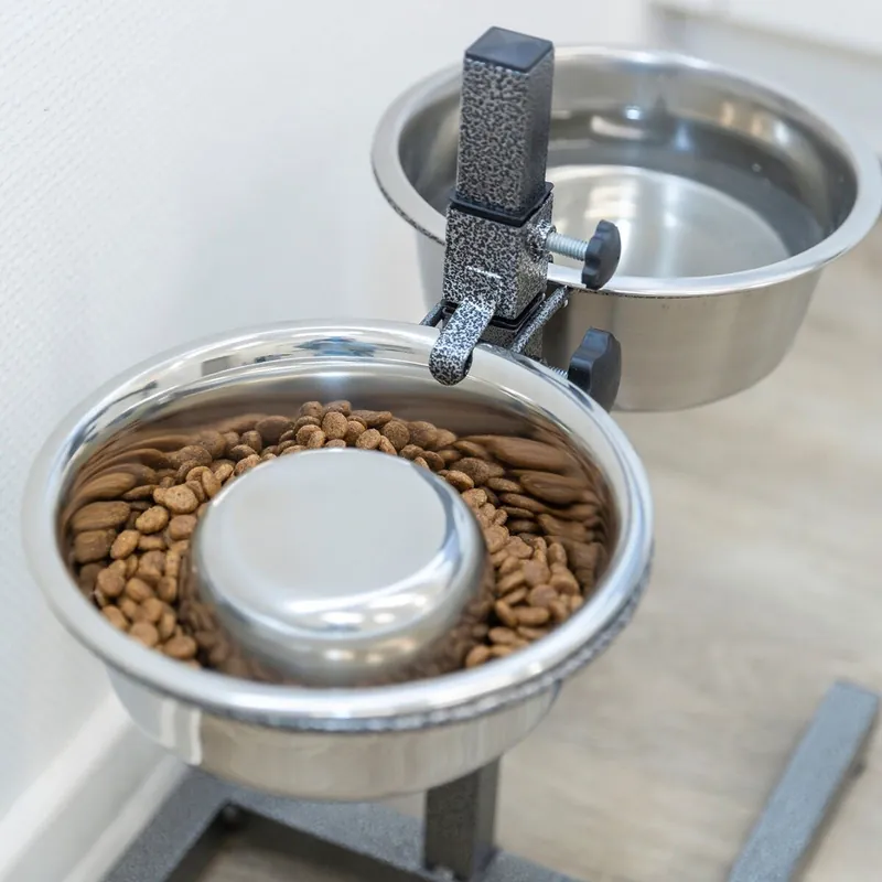 Snabb leverans Trixie Slow Feeding Hundmatskål Rostfri