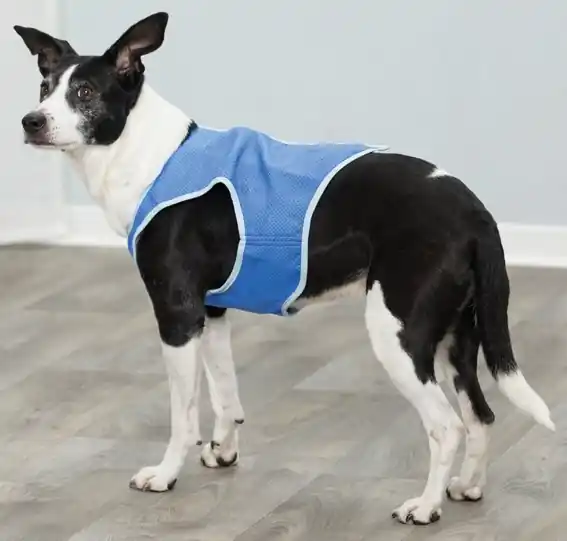 Kylväst Trixie Blå XS 20 cm Rea