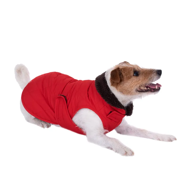 prisnedsättning Steppmuster hundjacka - ca 60 cm rygglängd