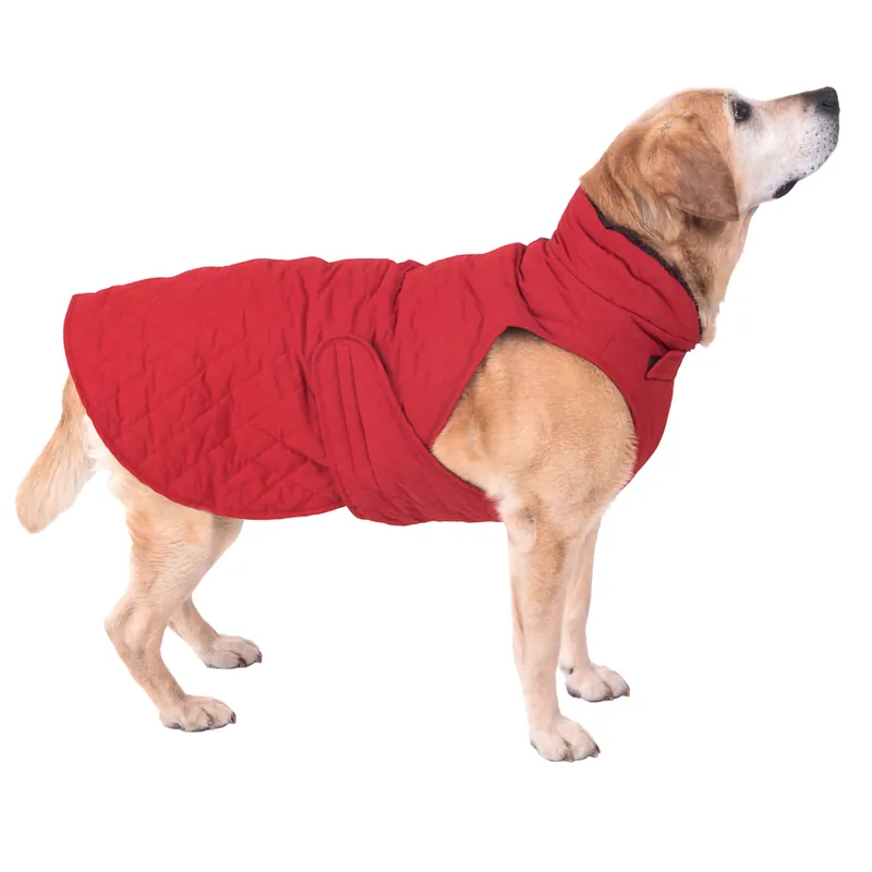 Endast idag Steppmuster hundjacka - ca 70 cm rygglängd