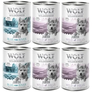 Bästa pris Wolf of Wilderness Junior Mixpack - 6 x 400 g 4x Anka & kalv, 2x Kyckling & lax
