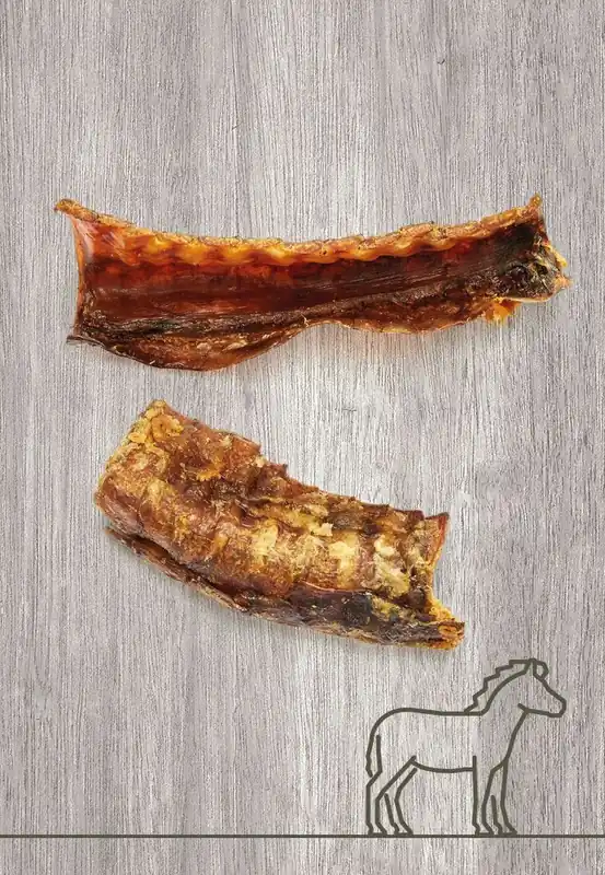 I lager Vet Concept Häststrup 100 g för hundar