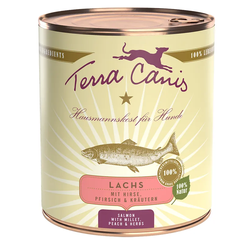 Begränsat antal Ekonomipack Terra Canis 12 x 800 g - Lax med hirs, persika & örter