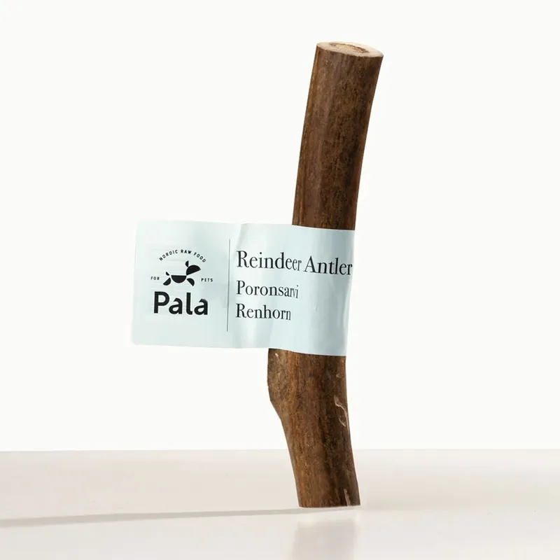 Endast idag Pala Reindeer Renhorn Hundtugg