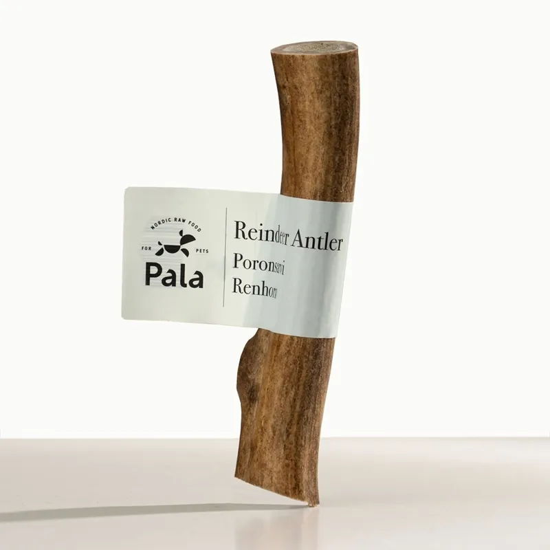 Beställ nu Pala Reindeer Renhorn Hundtugg