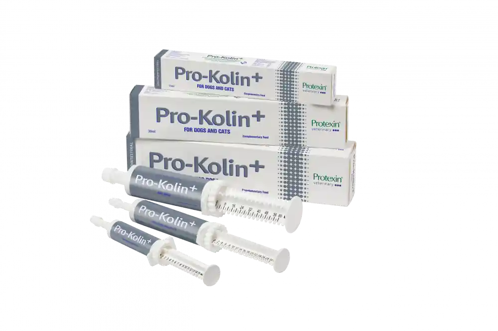 Kompletteringsfoder Protexin Pro-Kolin+ 30 ml Begränsad tid