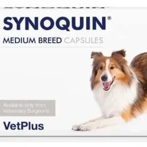 Kampanjpris Vetplus Synoquin Medium Breed kapsel för hundar 30 st