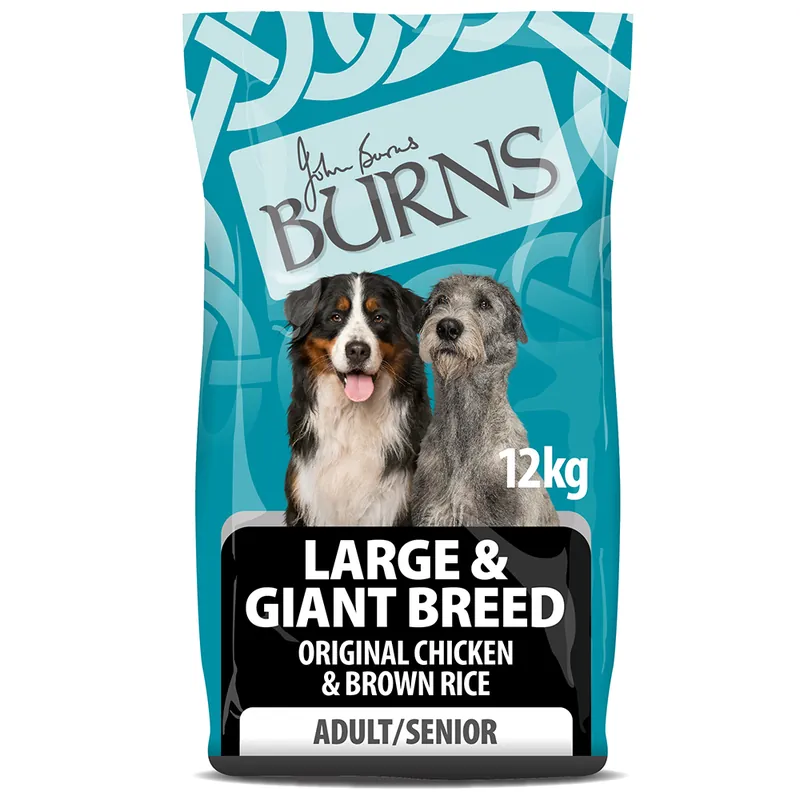 Begränsat erbjudande Burns Large & Giant Breed Original - Chicken & Rice - Ekonomipack 2 x 12 kg