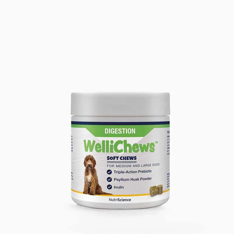 Rea Wellichews Digestion medium & large breed 60 st för hundar