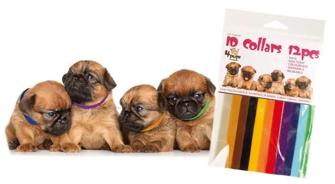 Köp nu VIP Transgroom 4pups valphalsband 12 st