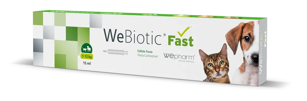 WeBiotic Mag- och tarmpasta för Husdjur - 30 ml (12-36kg) Premium