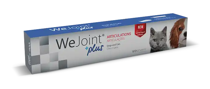 Expressleverans Ledtillskott WePharm WeJoint Plus Paste 30 ml