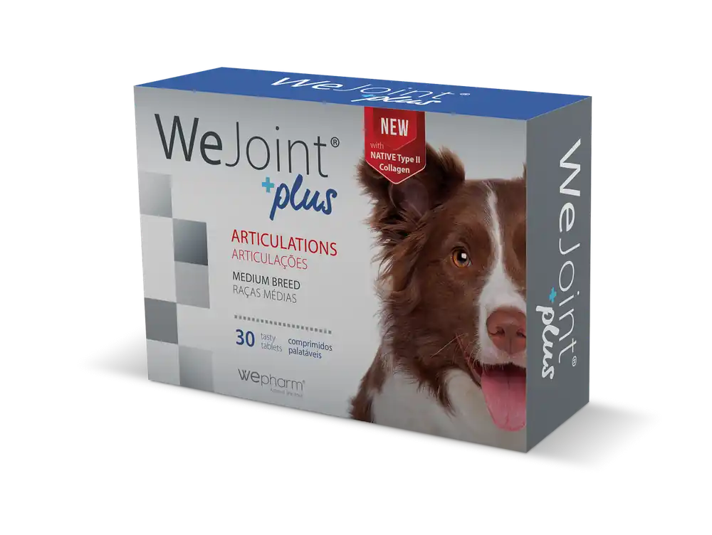 WeJoint Plus Ledtillskott - Medium Breed Fynd