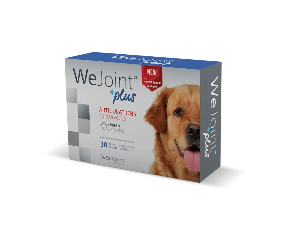 WeJoint Plus Ledtillskott - Large Breed Sista chansen