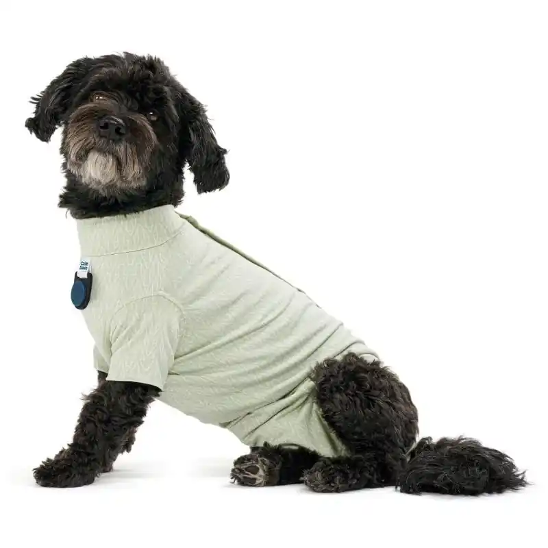 BUSTER Body Suit Step‘n Go för Hundar med CalmDown Knapphållare, XL, Dusty Green prisnedsättning