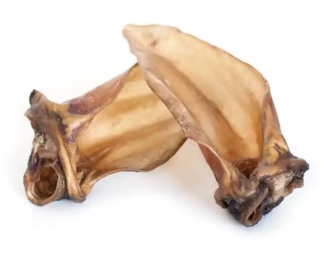 Expressleverans Treateaters buffalo ear extra meat - Buffalo ear