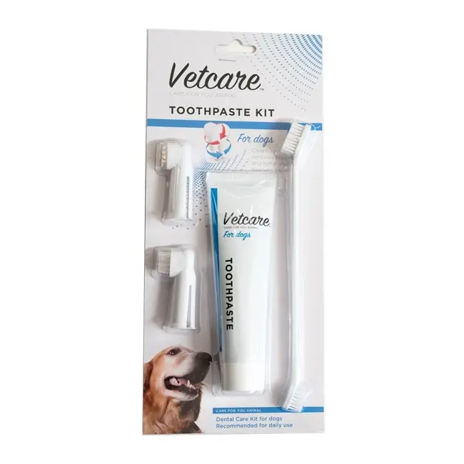 Begränsad tid Dental Kit med 3-pack tandborstar - Dental kit