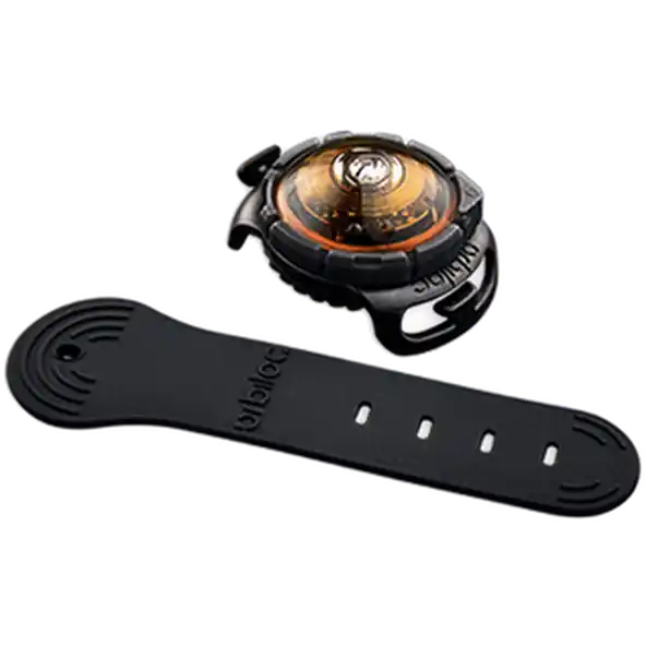 Begränsad tid Safety Light Dog Dual LED - With Quick Mount & Adjustable Strap Amber 5 km - Hund - Halsband - Orbiloc - ZOO.se