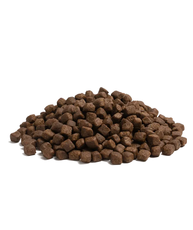 Essential Nautical Living Torrfoder till Hund - 2,5 kg Erbjudandepris