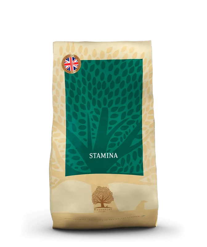 Essential Stamina Torrfoder till Hund - 10 kg Extra rabatt