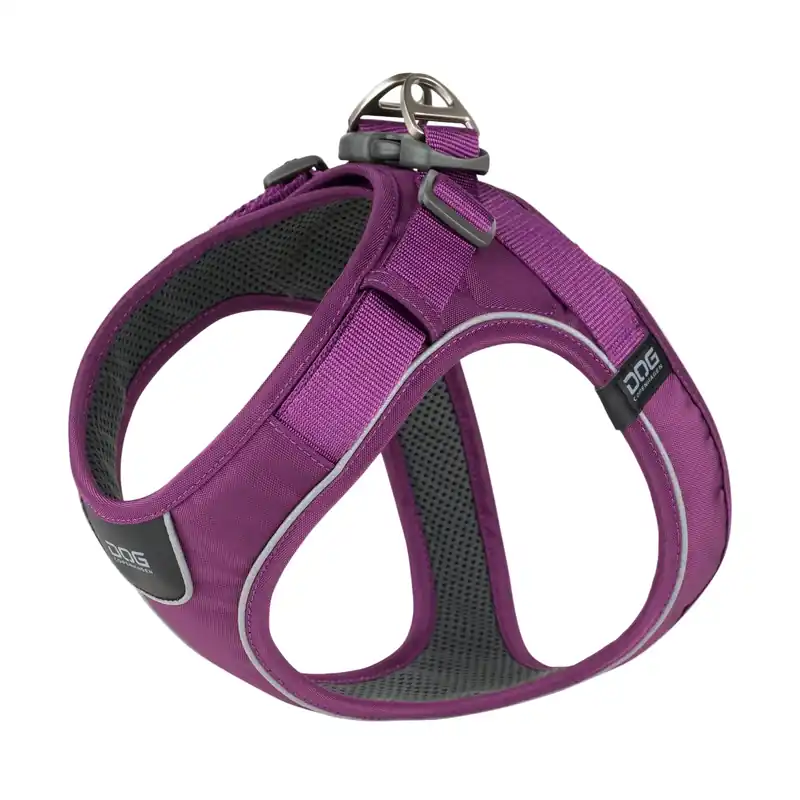 Populär Dog Copenhagen Comfort Walk Go™ Harness Purple Passion - XXS / Purple Passion