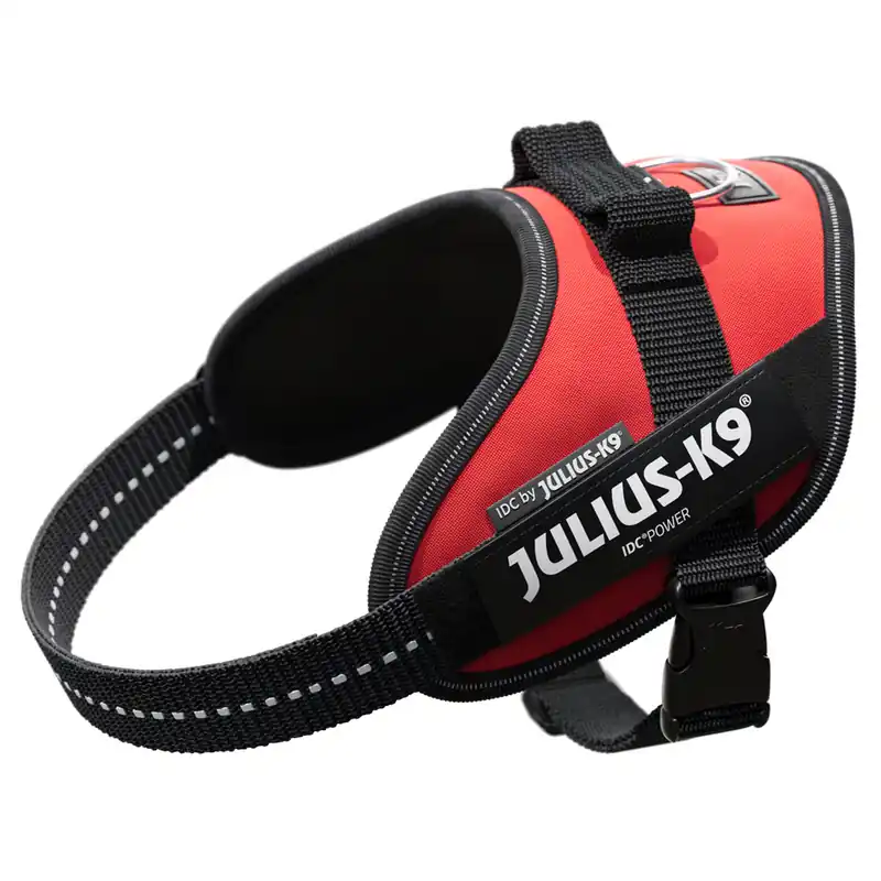 Populärt val JULIUS-K9 IDC®-Powersele - röd - Storlek S bröstomfång 49 - 67 cm
