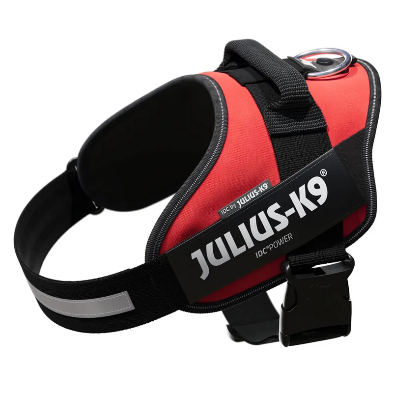 Billig JULIUS-K9 IDC®-Powersele - röd - Storlek L bröstomfång 63 - 85 cm