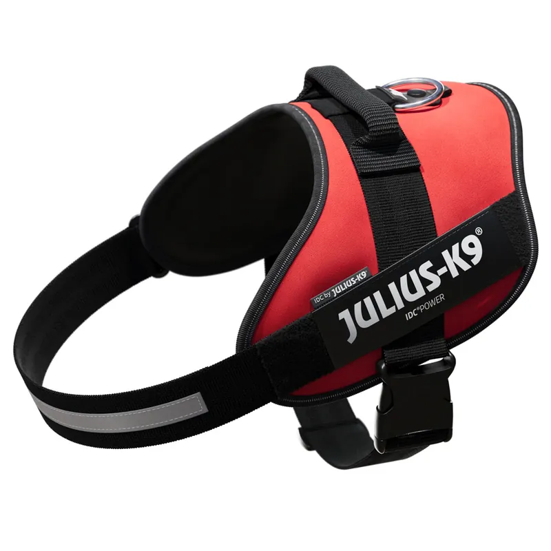 Rabatter JULIUS-K9 IDC®-Powersele - röd - Stl. 2XL bröstomfång 82 - 115 cm