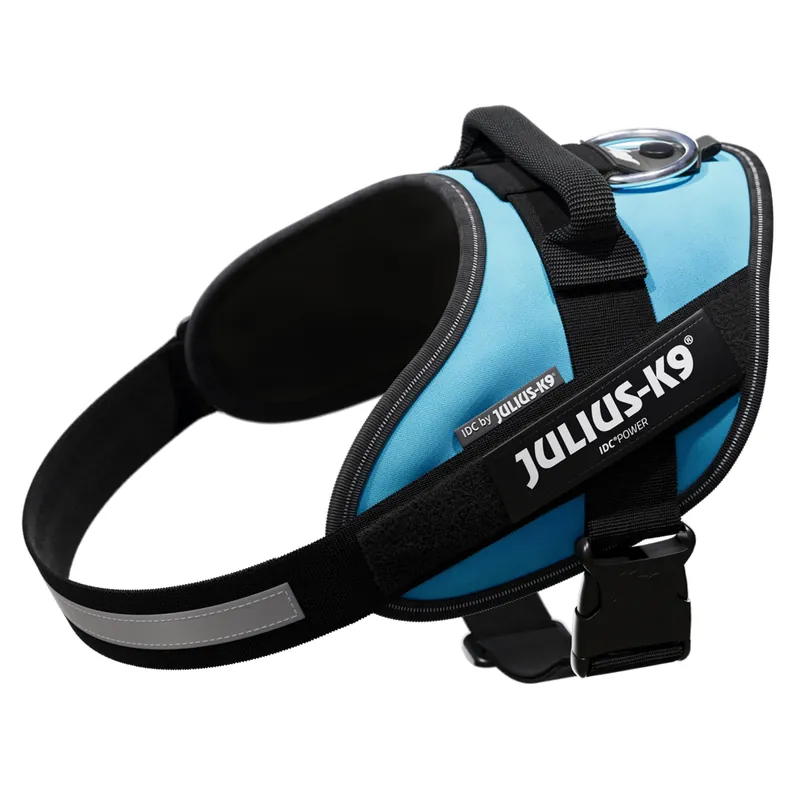 Begränsat antal JULIUS-K9 IDC® powersele, akvamarin - Stl. M