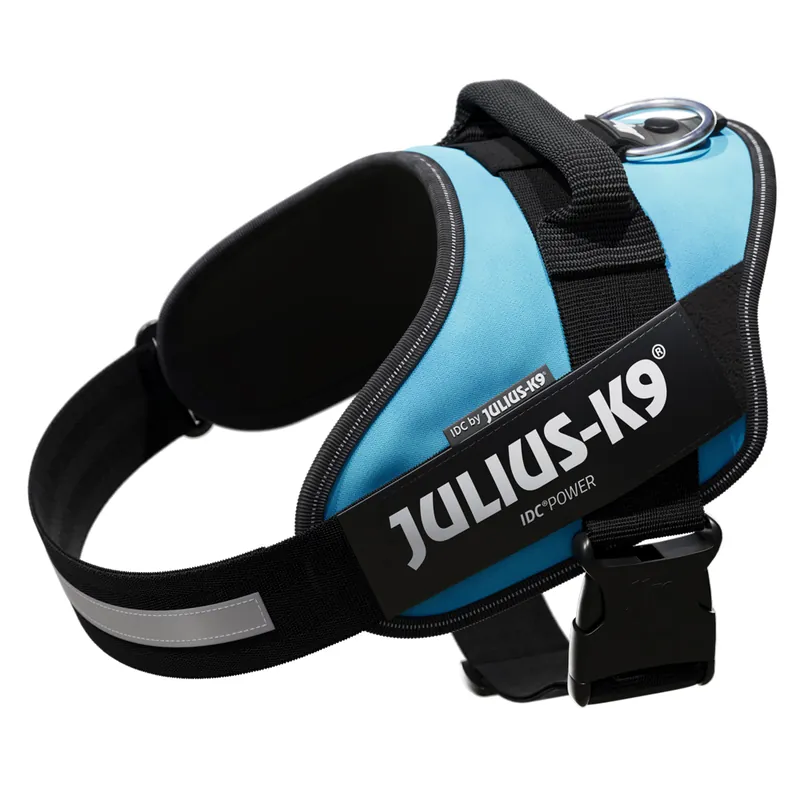 Populärt val JULIUS-K9 IDC® powersele, akvamarin - Stl. L
