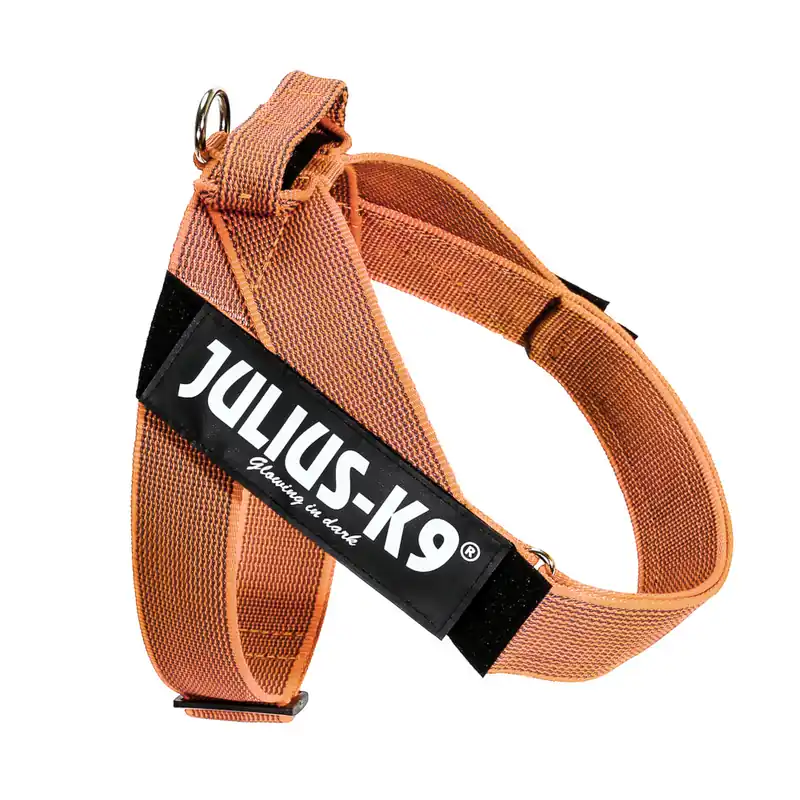 Beställ idag Julius-K9 IDC® Color & Grey sele, orange/grå - Storlek L/1 Bröstomfång 63 - 85 cm