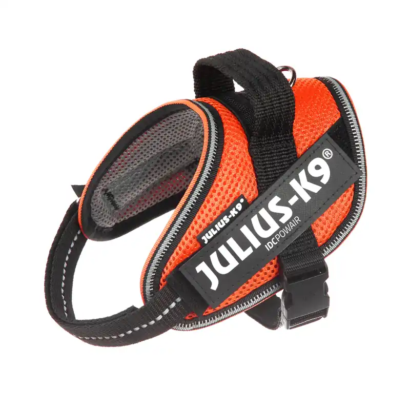 Premium JULIUS-K9 IDC® POWAIR sele - orange - Storlek XL/2 bröstomfång 71-96 cm