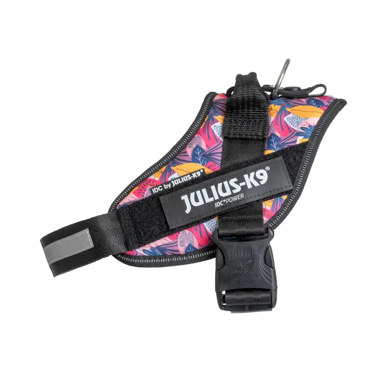 Populärt val Limited Edition Julius-K9 IDC® hundsele, Leaf 2 - Storlek M/0 Bröstomfång 58 - 76 cm
