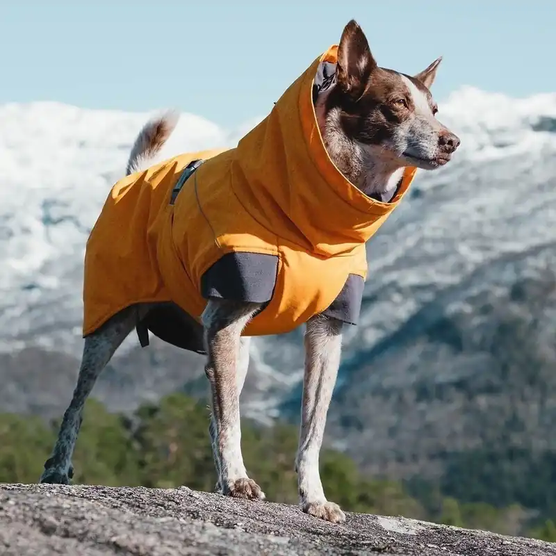 Hurtta Expedition Parka Vintertäcke Orange Expressleverans