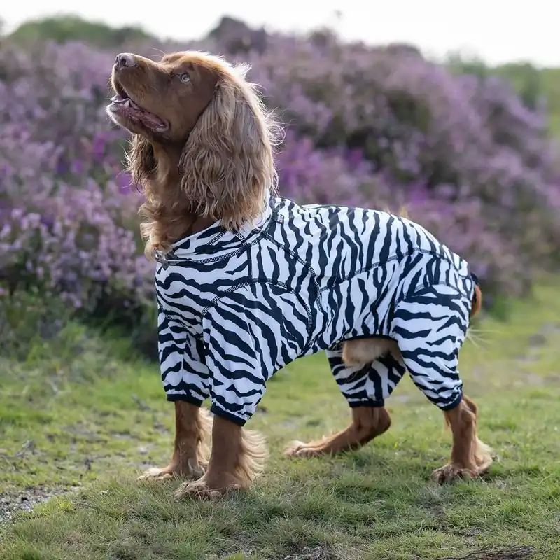 Endast idag Rukka Zebra Fästingskydd Hundoverall
