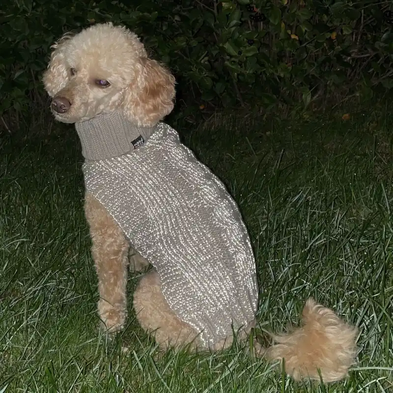 Rukka Sparky Hundtröja Beige Reflekterande Extra rabatt
