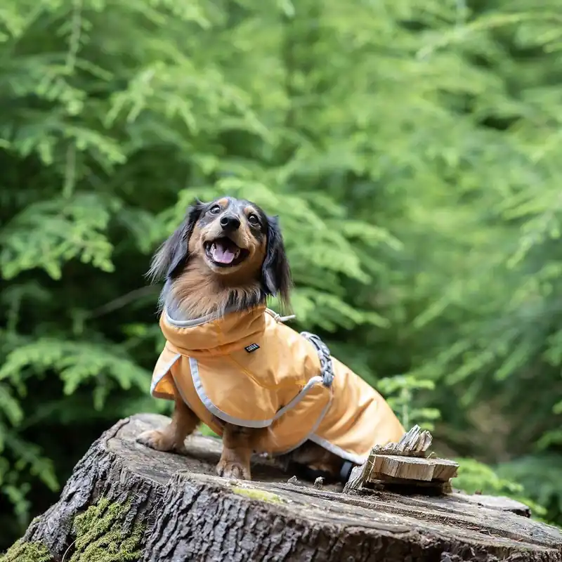 Billigare Rukka Crisp UV Kyltäcke Hund Ljus Orange