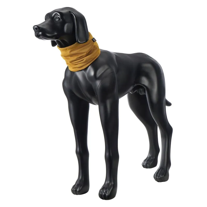 Säker betalning Rukka Kylande Hundscarf Gul