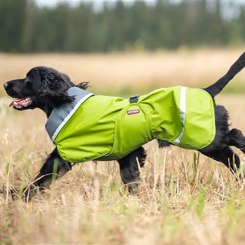Pomppa Sade Regntäcke Hund Lime Beställ nu