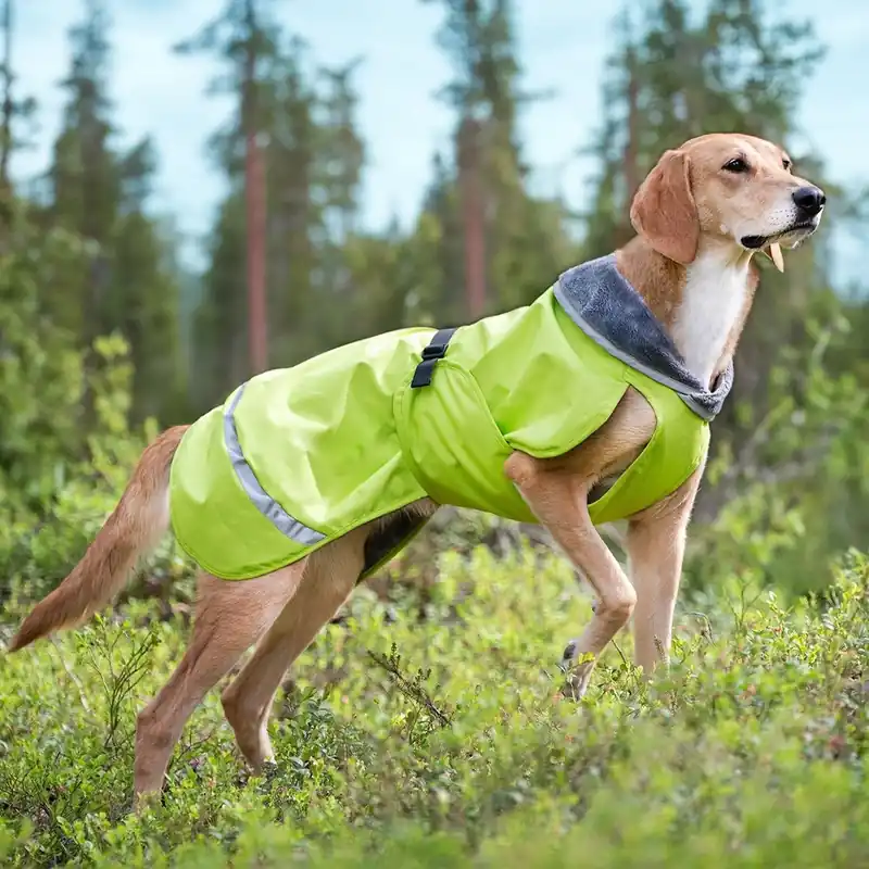 Pomppa Kevyt Regnjacka Hund Lime Fynd