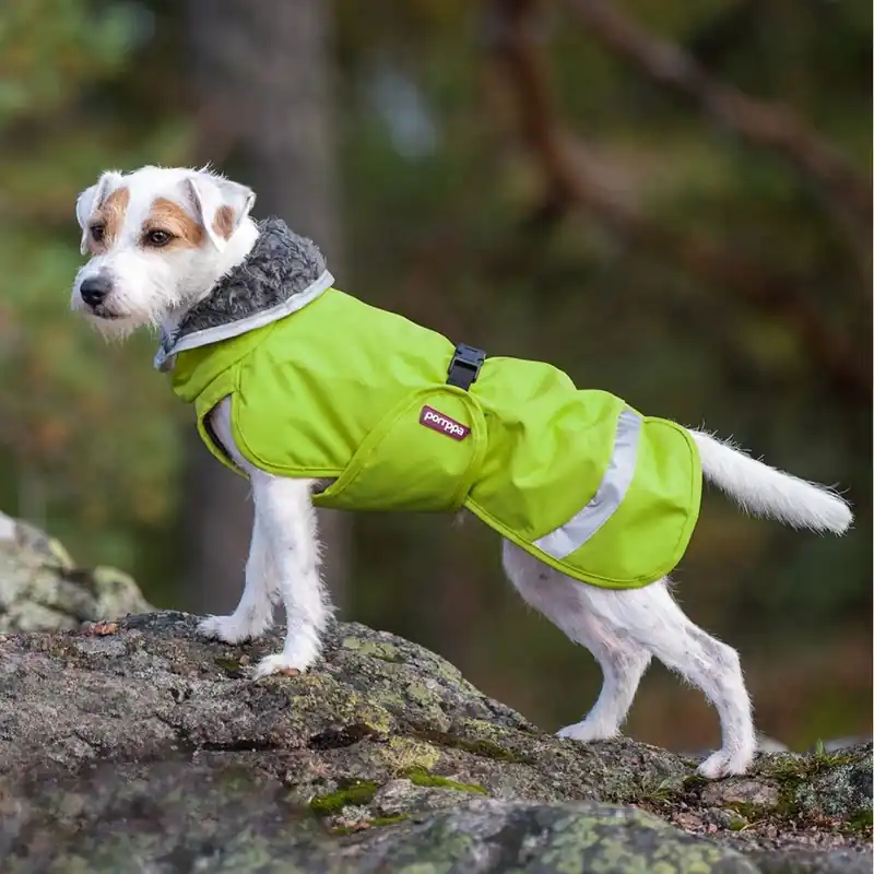 Extra rabatt Pomppa Perus Vintertäcke Hund Lime