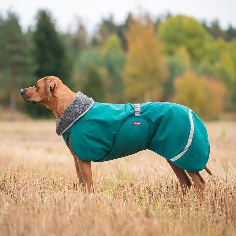 Nyhet Pomppa Toppa Hundtäcke för Sele Forest
