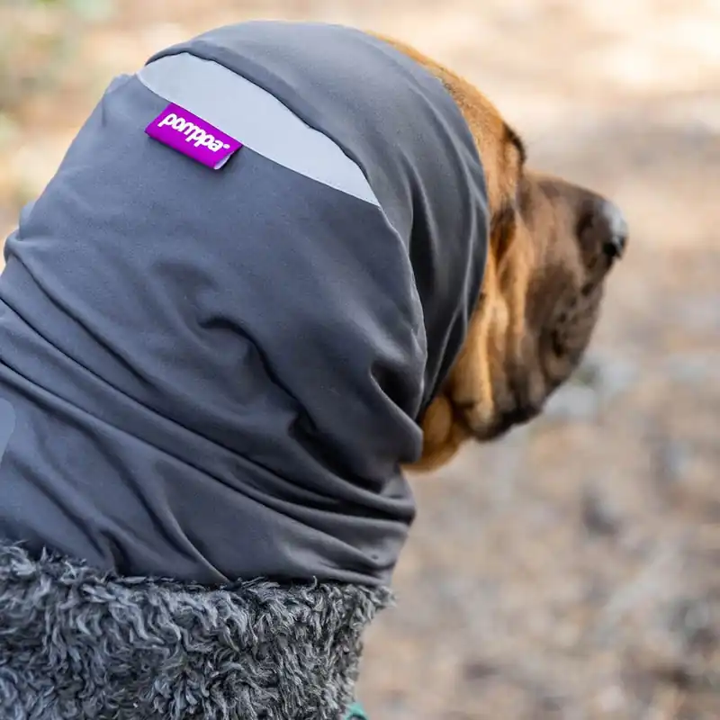 Reapris Pomppa Huppu Halsduk till Hund Graphite