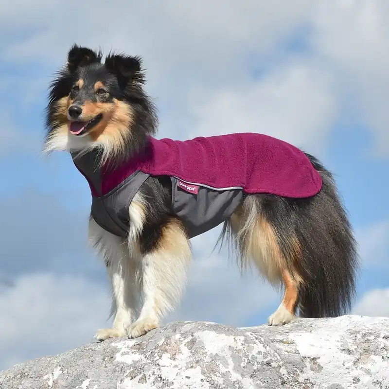 Pomppa Jumppa Fleecetäcke Hund Plum Endast denna vecka