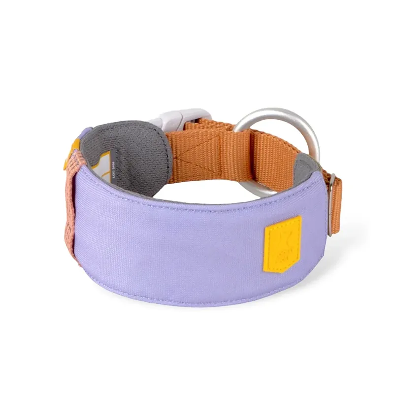 I lager Alpha 360 Hundhalsband