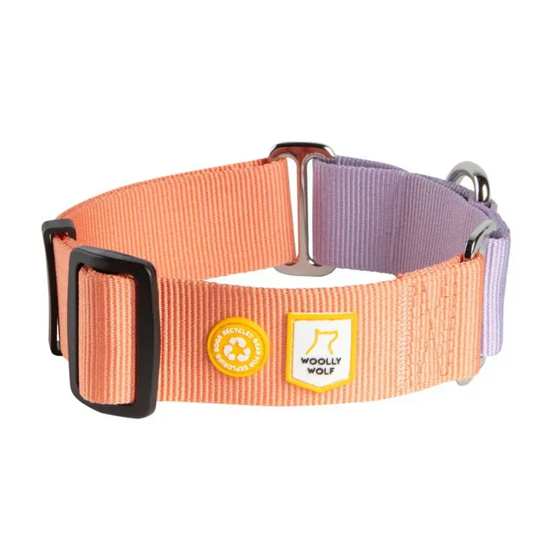 Woolly Wolf Color Block Martingale Hundhalsband Begränsad tid