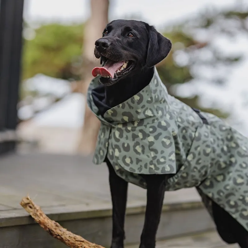 Bästa pris PAIKKA Visibility Lite Regnjacka till Hund Leopard Grön